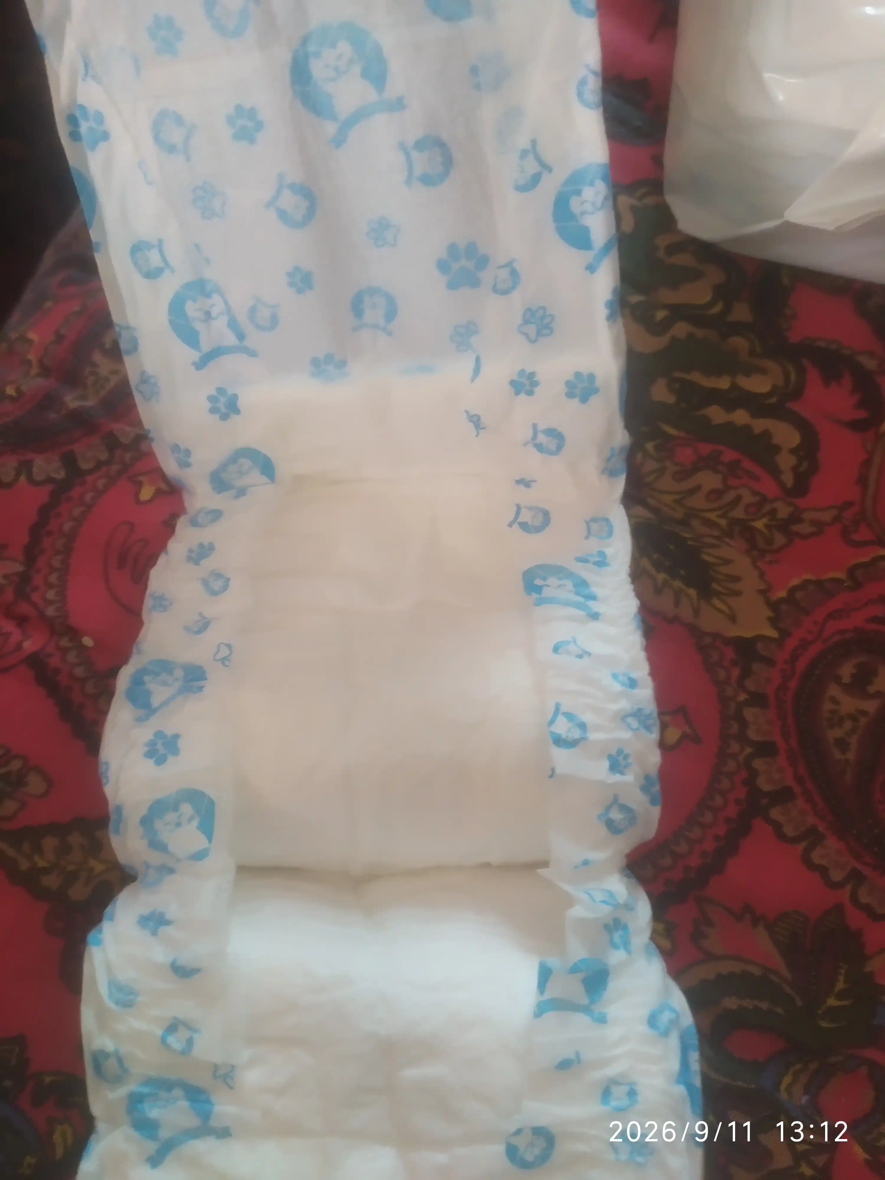 Mushuklar va itlar uchun bir martalik tagliklar, 12 dona, o'g'il bolalar uchun