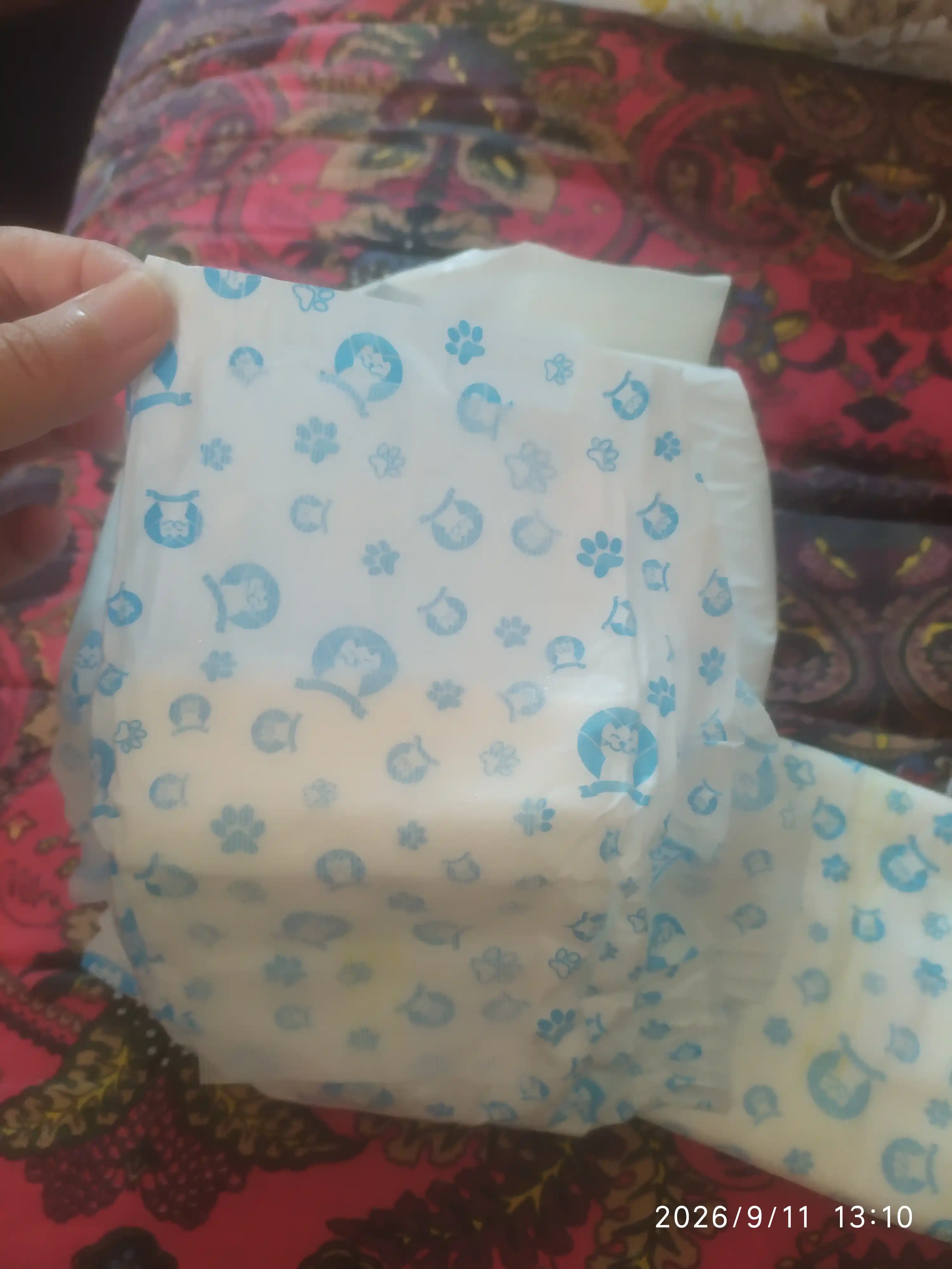 Mushuklar va itlar uchun bir martalik tagliklar, 12 dona, o'g'il bolalar uchun