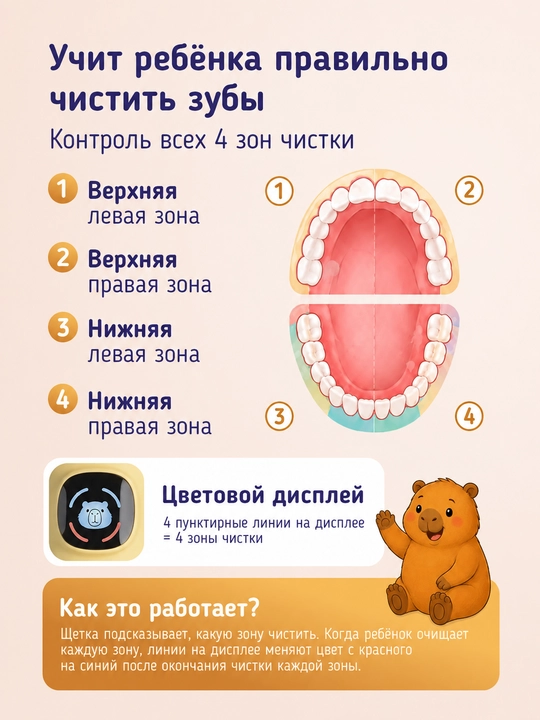 Elektr tovushli tish cho‘tkasi Revyline RL 010, akkumulyatorli tish cho‘tkasi