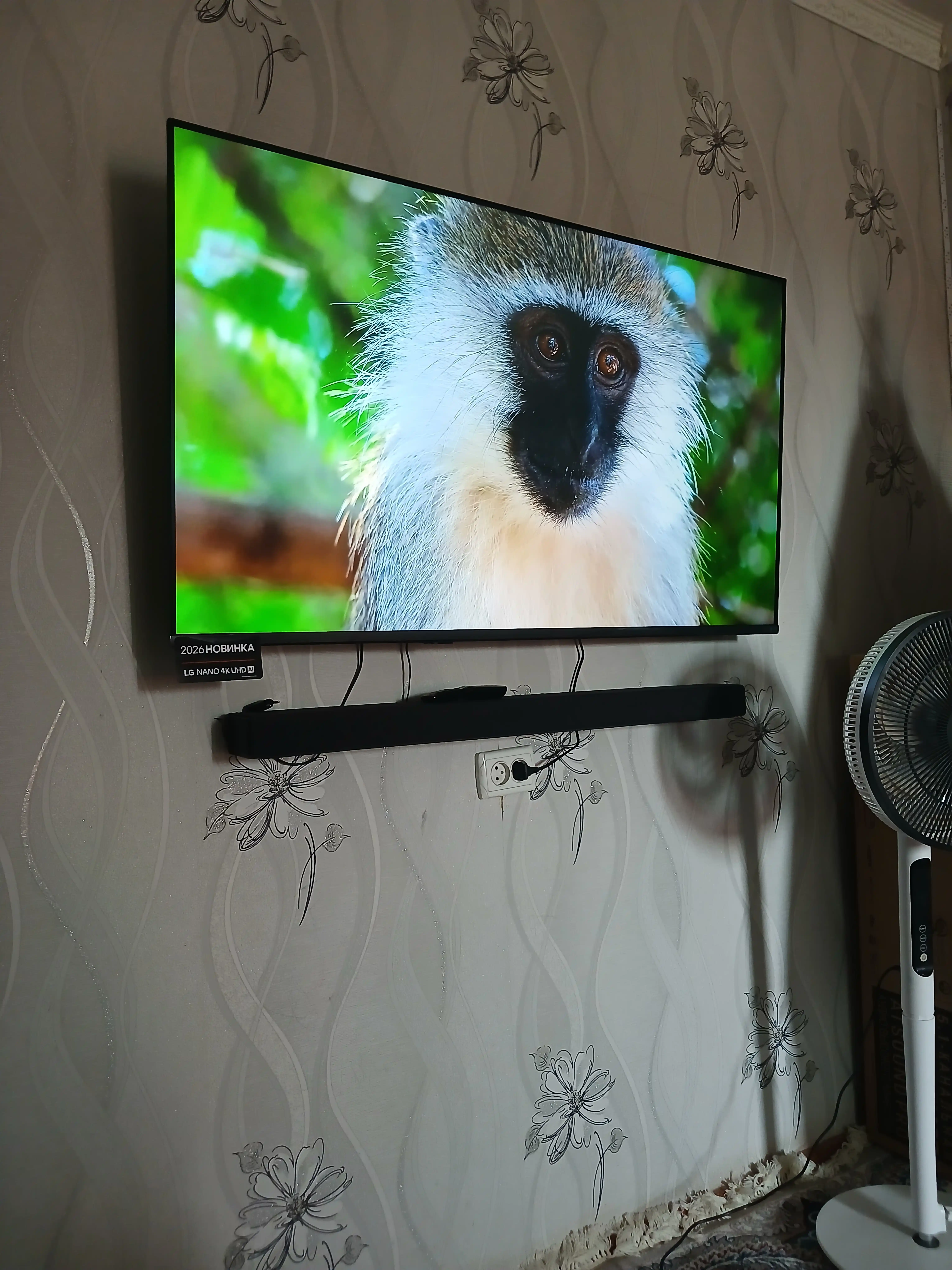 Телевизор LG NU900B6LA, Smart TV LG NANO 4K UHD AI 2026