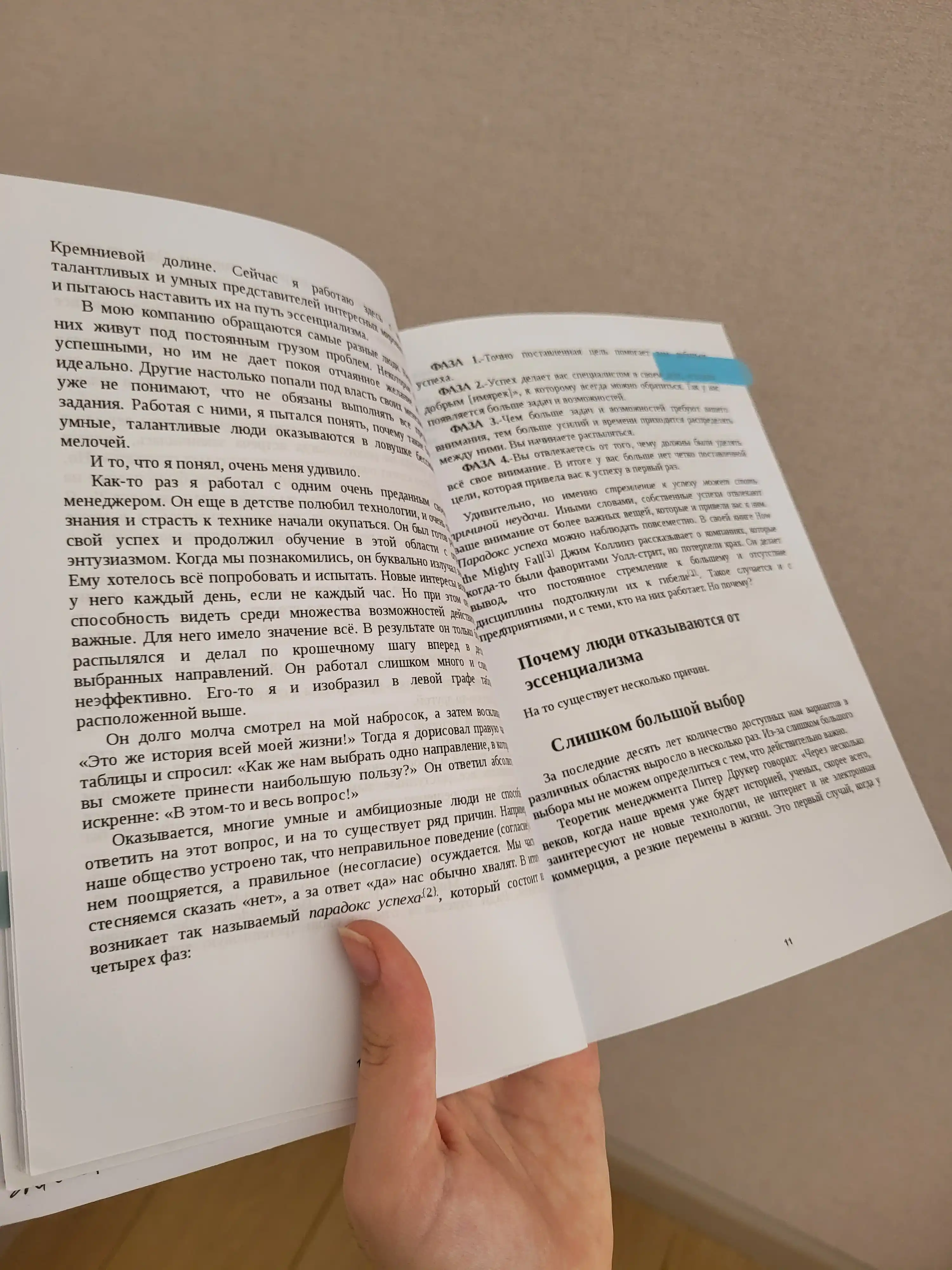 Essentializm, soddalik sari yo'l, Greg MakKeon