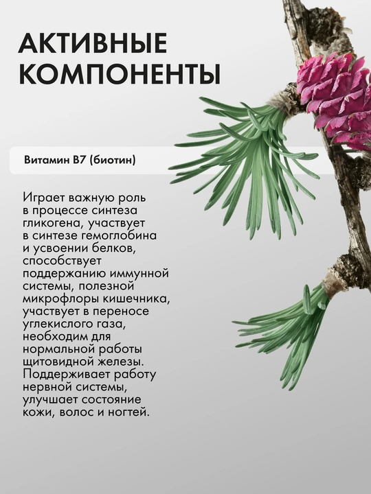 Regenature B7 vitamini biotin moddalar almashinuvini tezlashtirish uchun