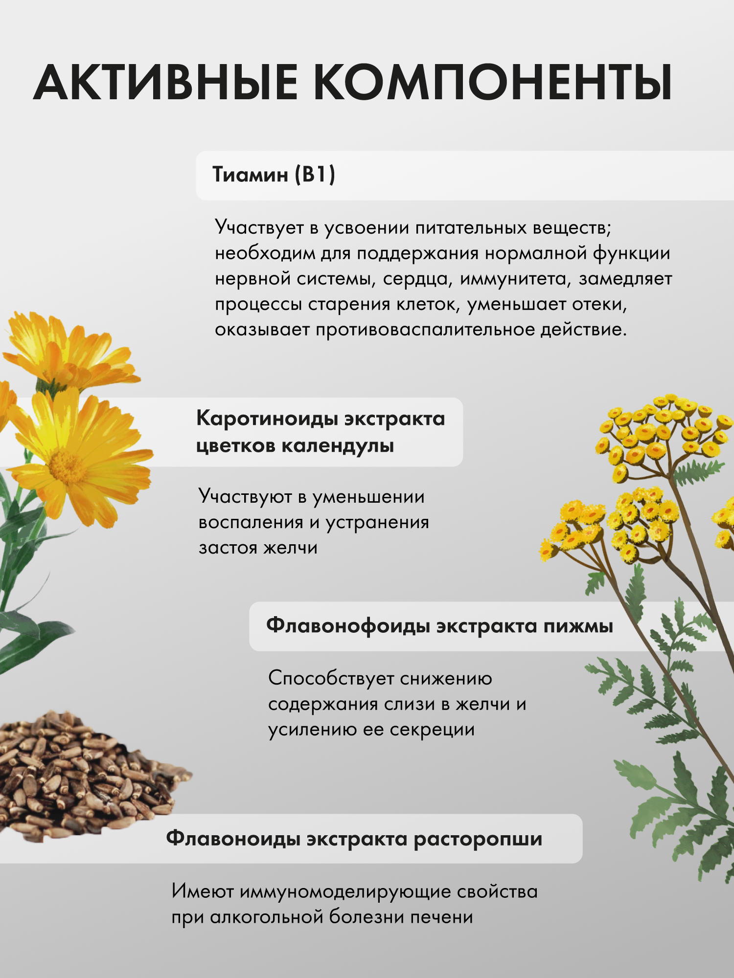 Ливерина для печени- источник тиамина Витамин В1