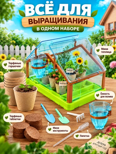 Мини теплица для рассады и комнатных растений, прозрачный парник для выращивания зелени