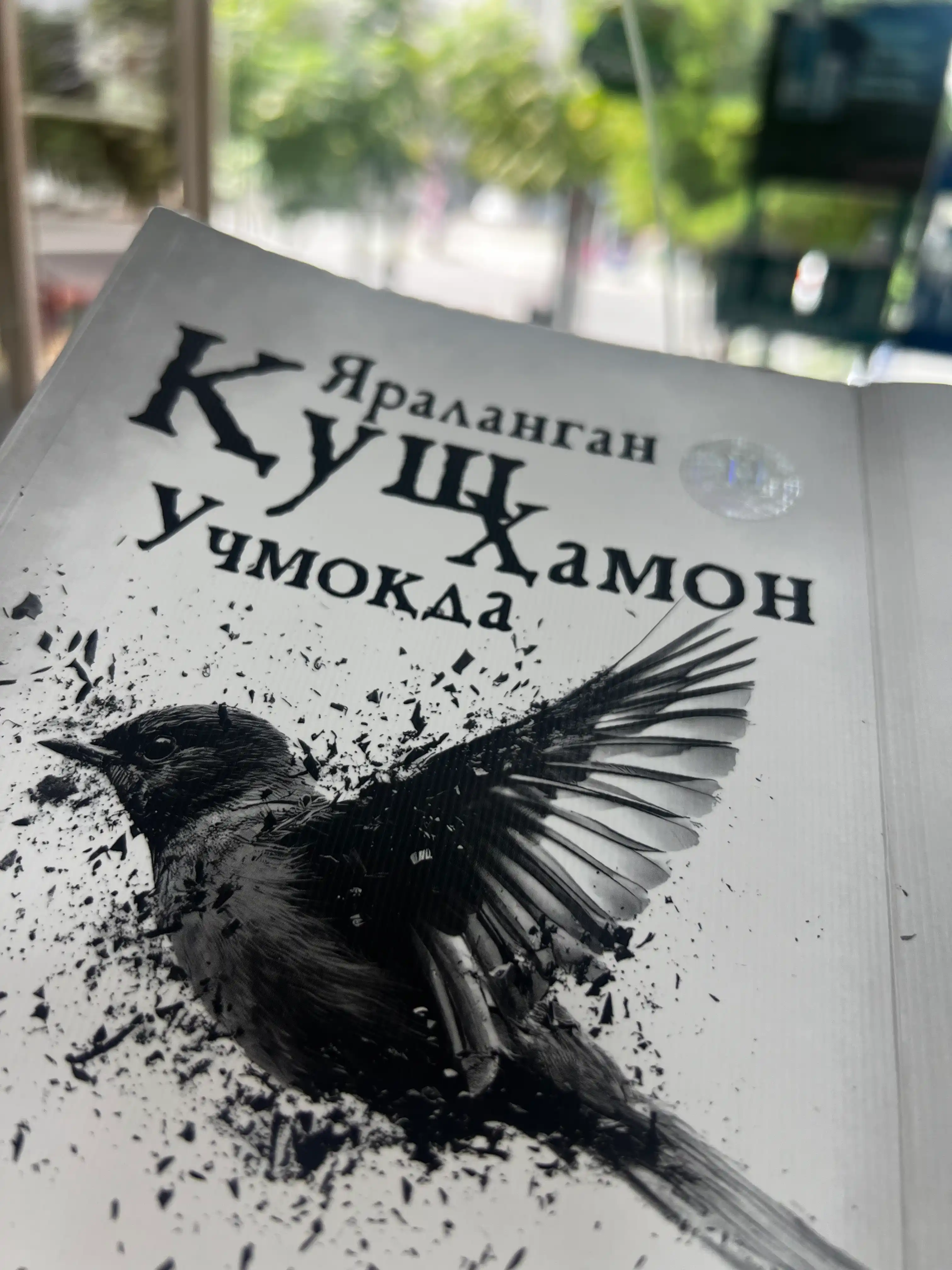 Яраланган қуш ҳамон учмоқда, Синан Акюз