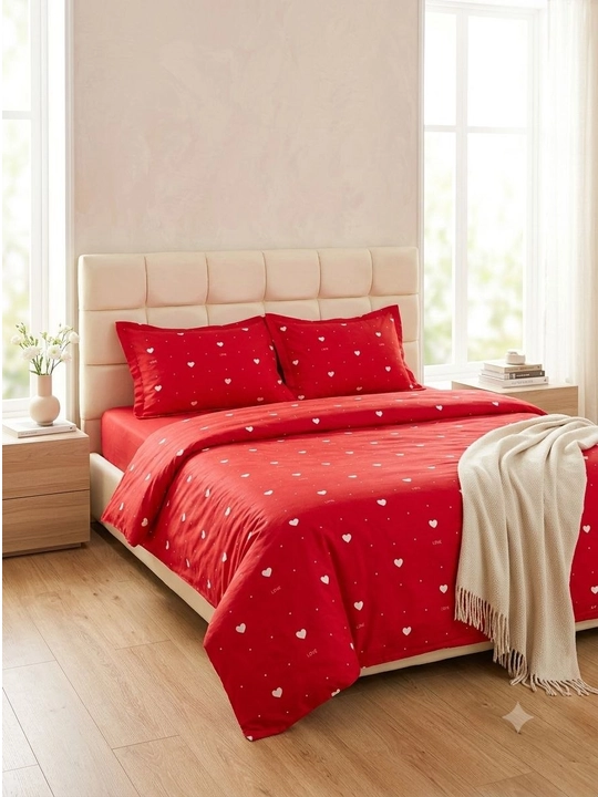 2 Kishilik choyshablar to'plami R(200*230) (245*245)(48*74cm)