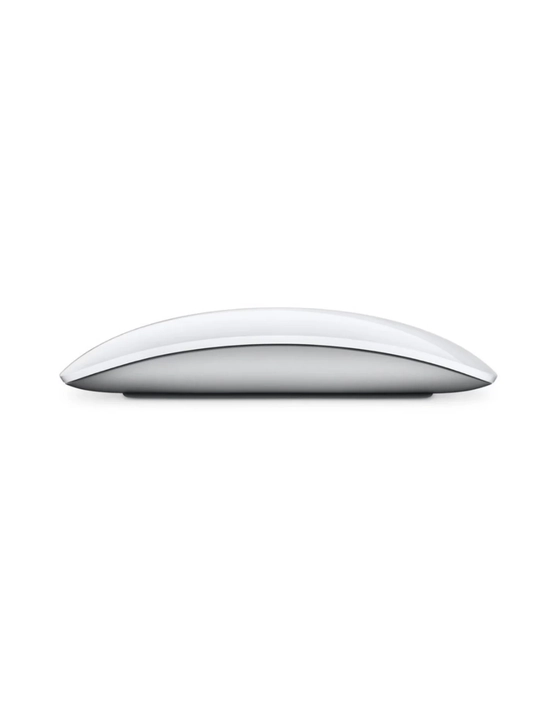 Simsiz sichqoncha Apple Magic Mouse Multi-Touch surface (USB-C), original, kafolatli