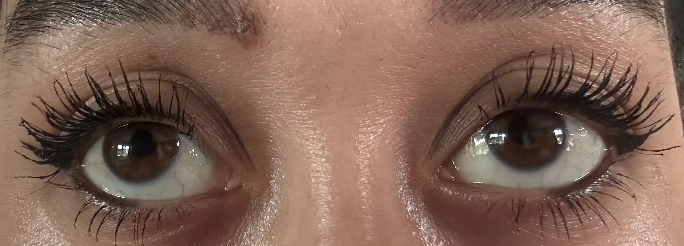 Silikon cho‘tkali kipriklarni uzaytirish va hajmini oshirish uchun L’Oréal Panorama bo‘yog‘i