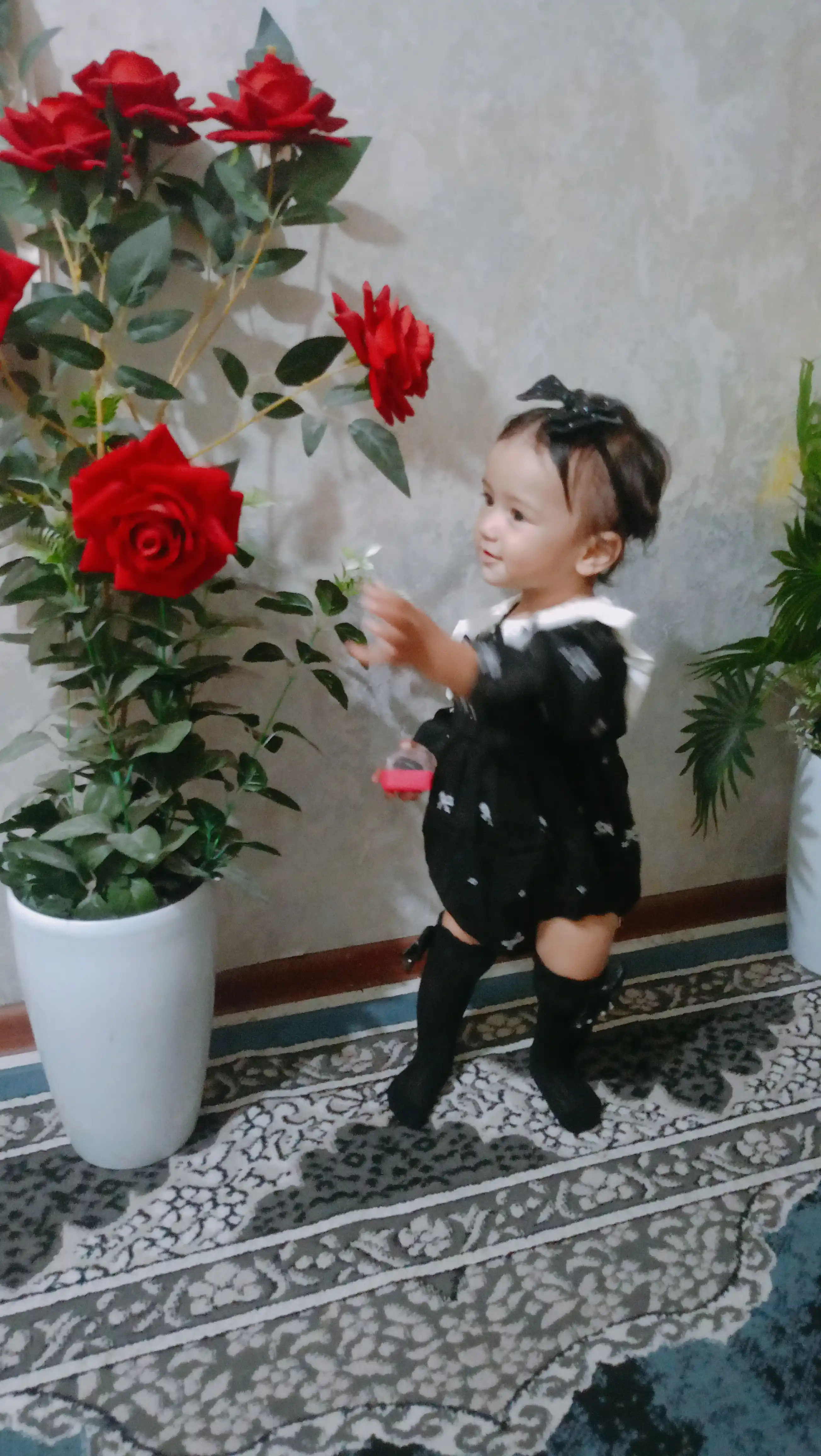 Комплект 3 в 1 для девочек: боди, носочки, повязка на голову, осенняя коллекция