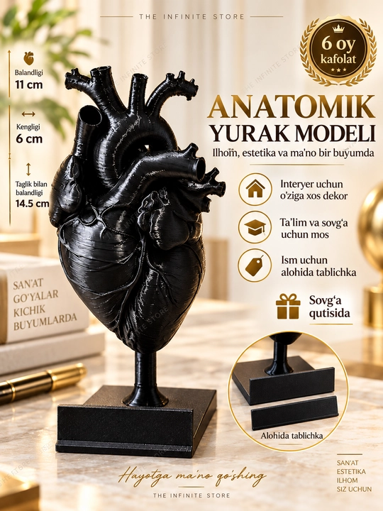 Inson yuragining anatomik modeli, stol usti dekor, interyer uchun sovg‘a, ismli tablich - 