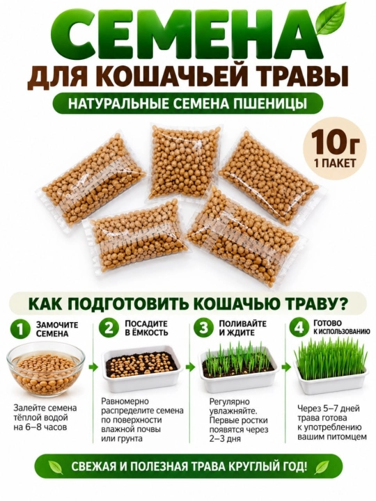 Семена пшеницы для выращивания травы для кошек 50 г, 5 пакетов, натуральные семена