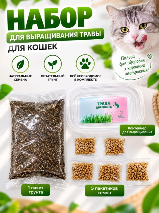 Mushuklar uchun bug‘doy urug‘i, uyda o‘t yetishtirish, 50 g, 5 ta paket, tabiiy urug‘