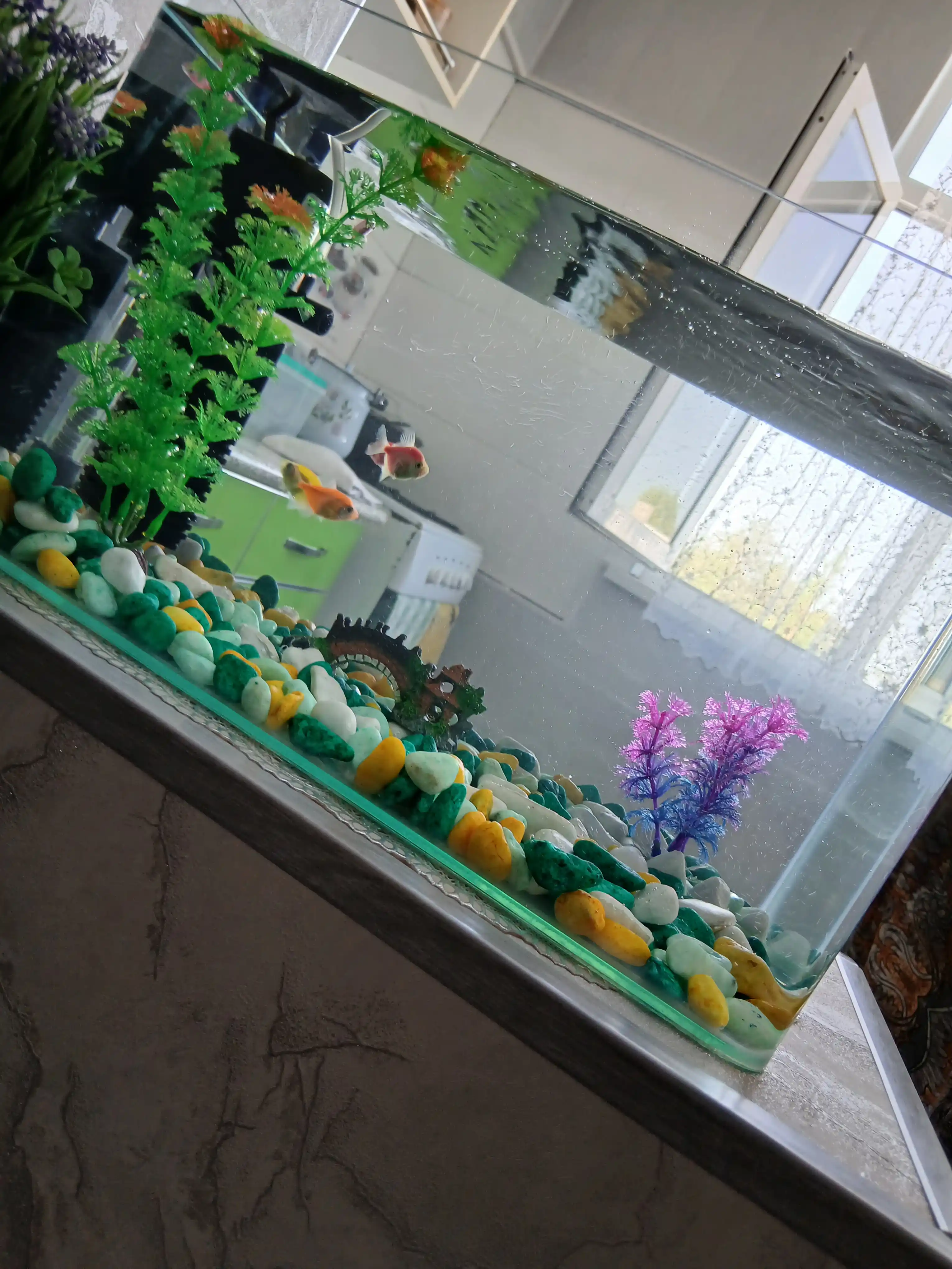 Baliqlar uchun akvarium LED yoritgich chirog‘i, yoritish, yoritgich
