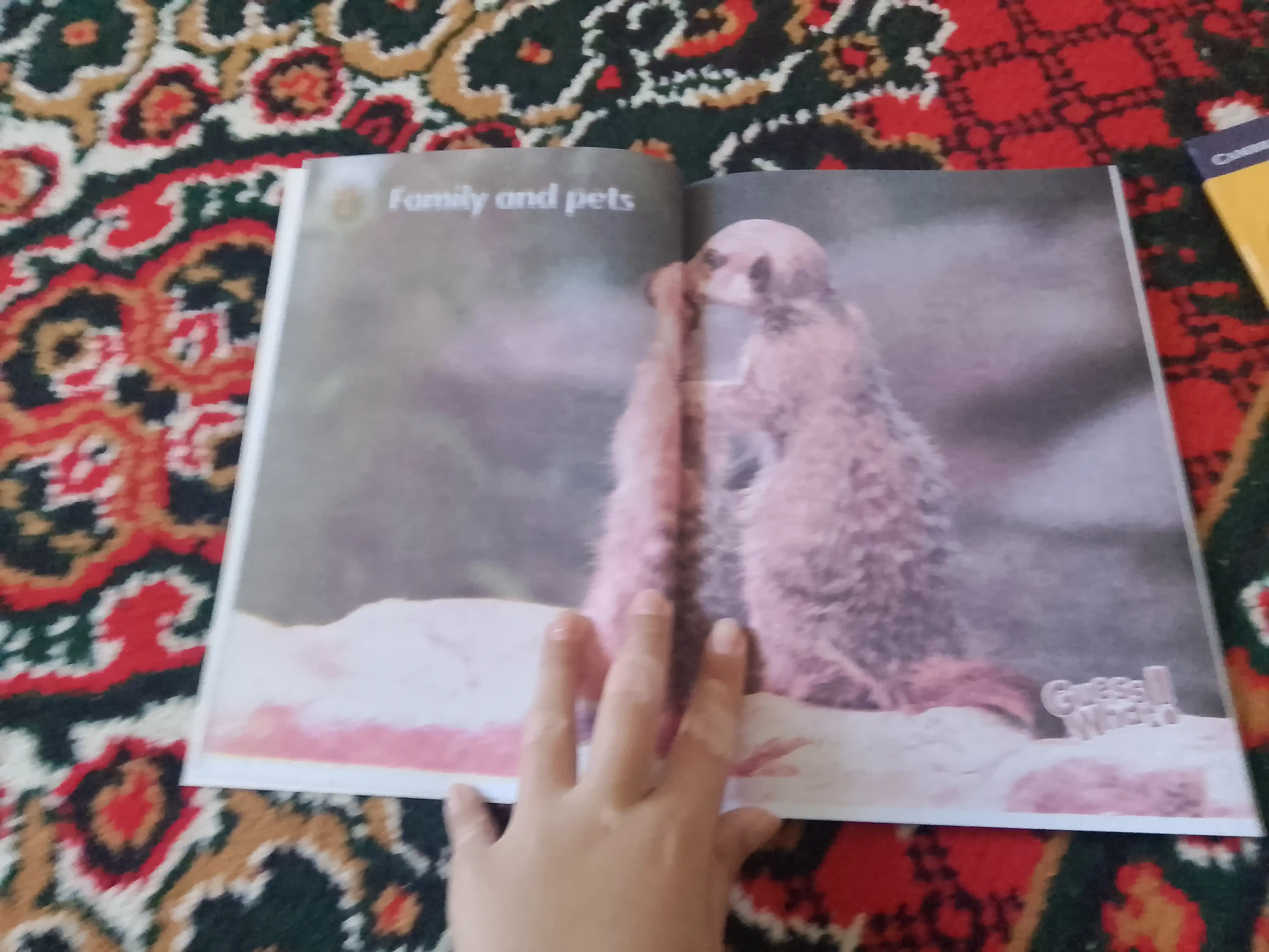 Guess What! Grade 1, 2, 3, 4, 5, 6, Student's book