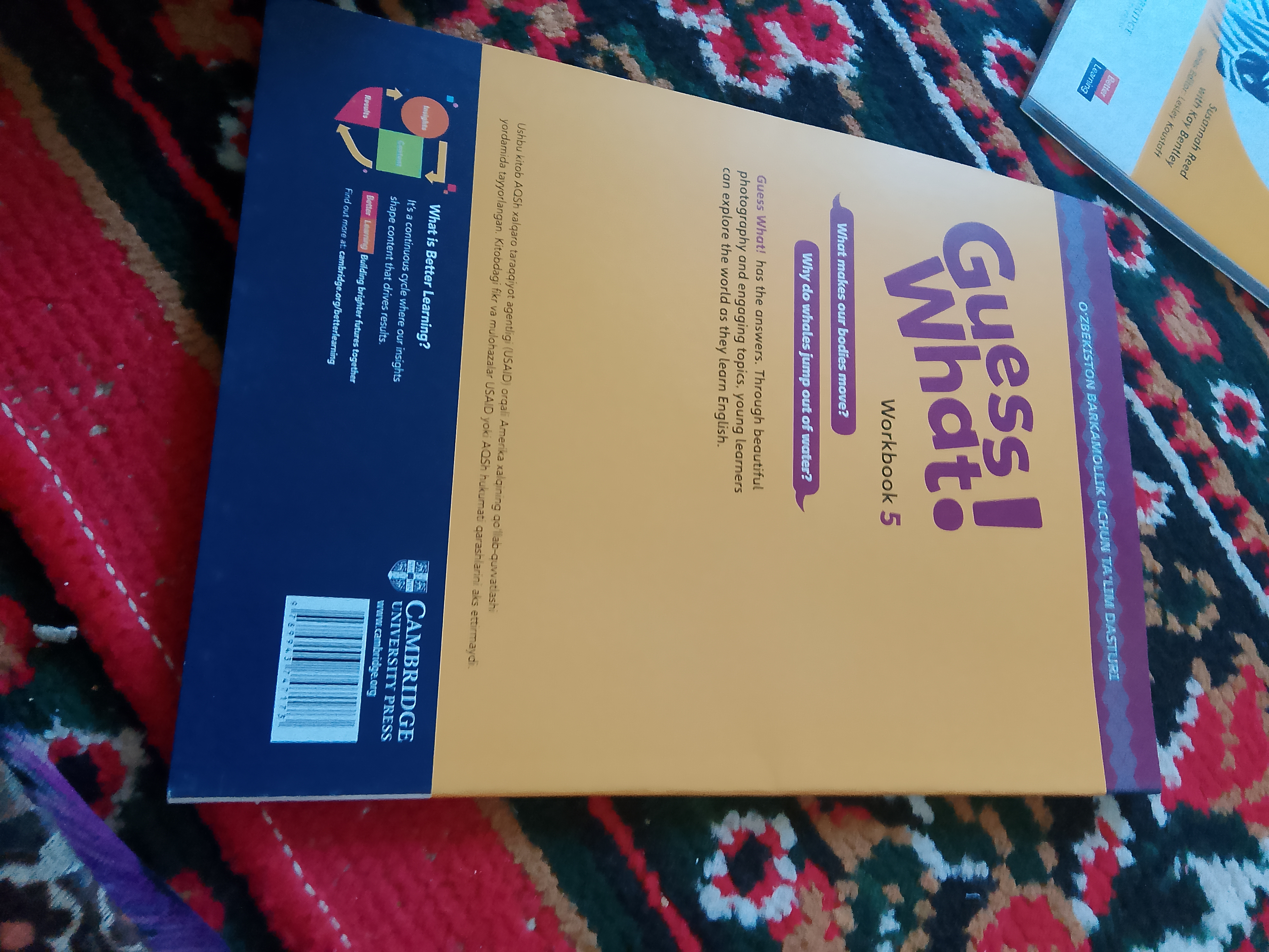 Guess What! Grade 1, 2, 3, 4, 5, 6, Workbook, Susannah Reed