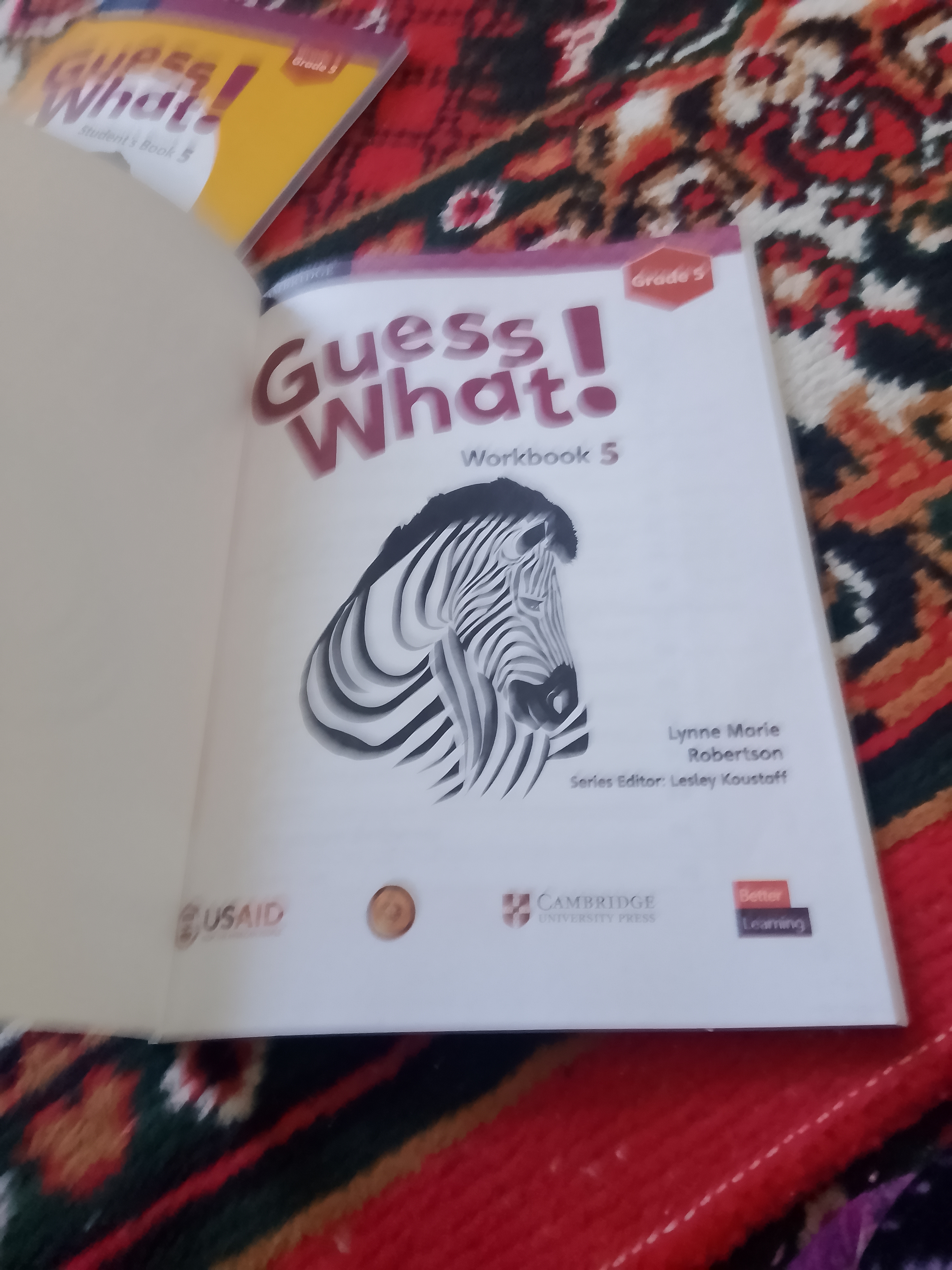 Guess What! Grade 1, 2, 3, 4, 5, 6, Workbook, Susannah Reed
