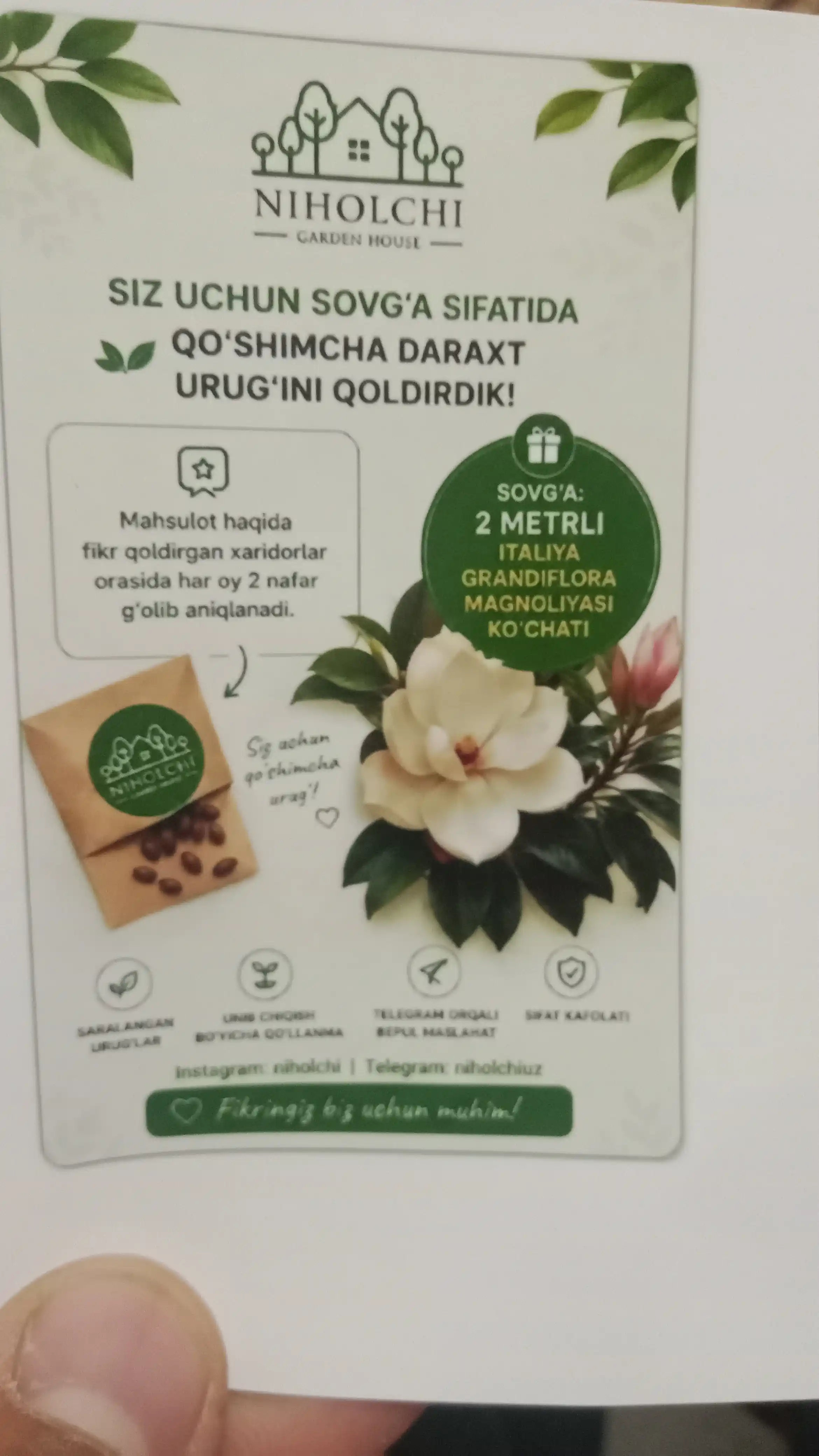 Fraser archa urug'lari, 20 dona