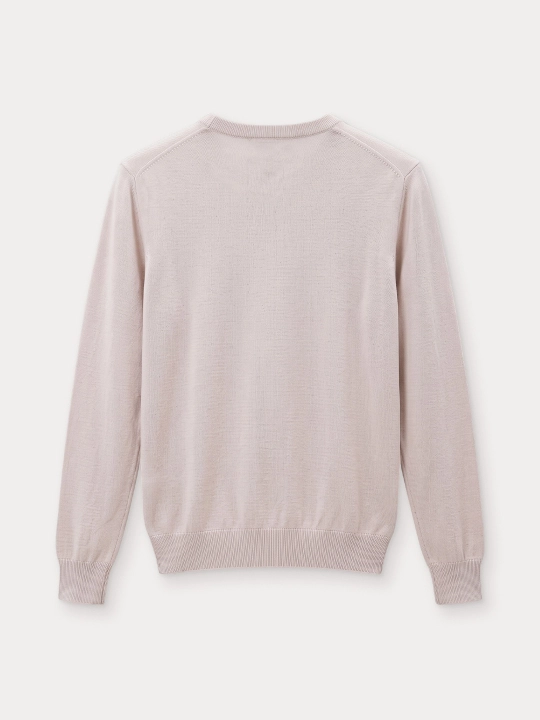 TERRA PRO Erkaklar uchun uzun, yengli jemper AW23CA2N-29-13046