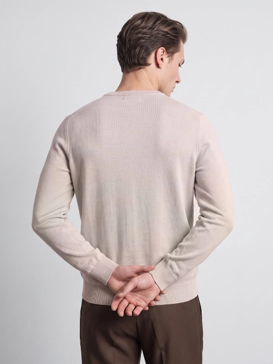 TERRA PRO Erkaklar uchun uzun, yengli jemper AW23CA2N-29-13046