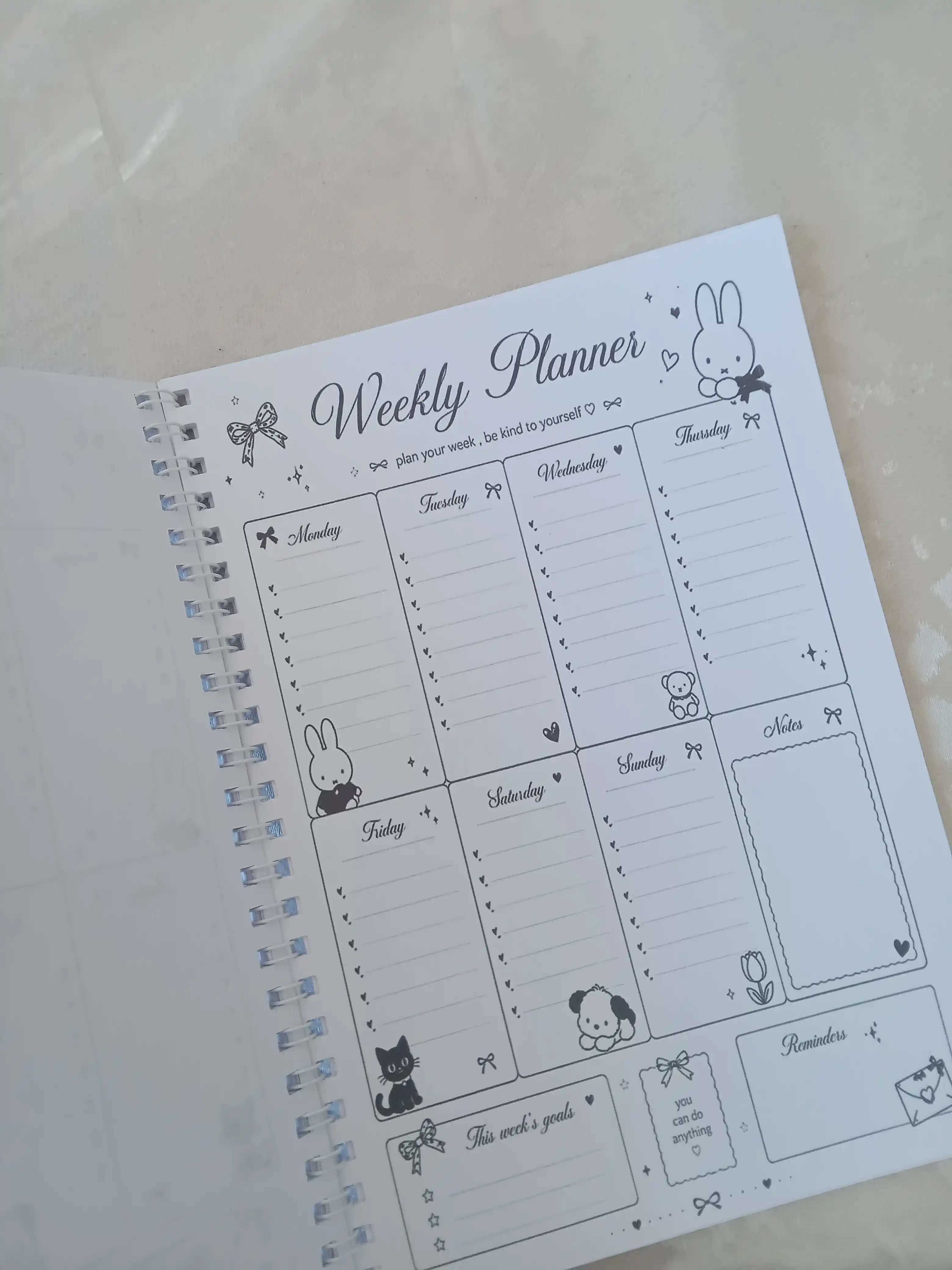 STRAY KIDS, K-POP, Bloknot va Planner 2 tasi 1 da - 30 varaqli, 2 bo'limli