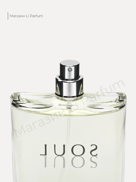 Soul for Men – erkaklar uchun atir yog‘och va ziravorli hid 100 ml