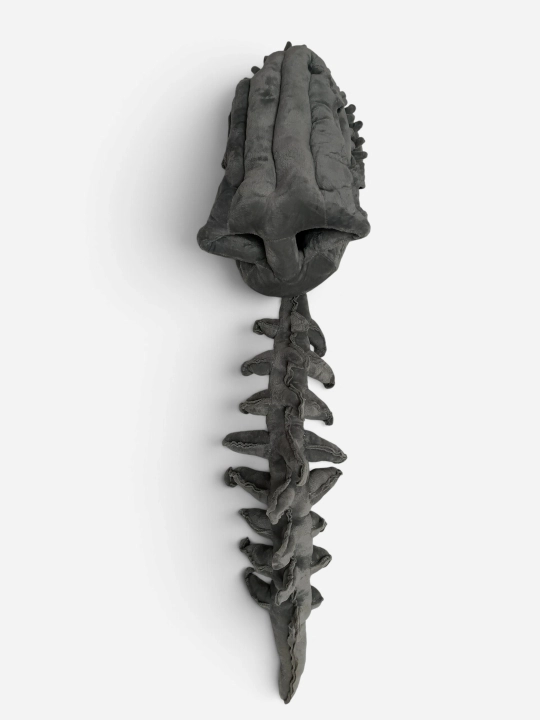 O‘yin va bayram uchun dinozavr skeleti, kospley, bolalar va kattalar uchun maskarad, niqob
