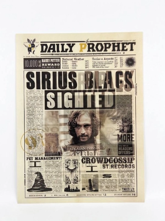 3D golografik Garri Potter posteri, tasvirni o'zgartirish effekti bilan, 30x40 sm - 