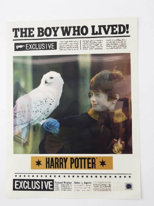 3D golografik Garri Potter posteri, tasvirni o'zgartirish effekti bilan, 30x40 sm