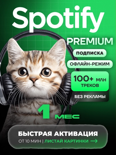 Podpiska Spotify Premium 1 / 3 / 6 / 12 - oylar - 