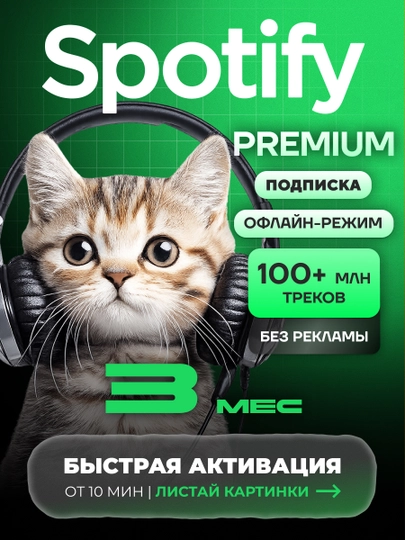 Podpiska Spotify Premium 1 / 3 / 6 / 12 - oylar - 