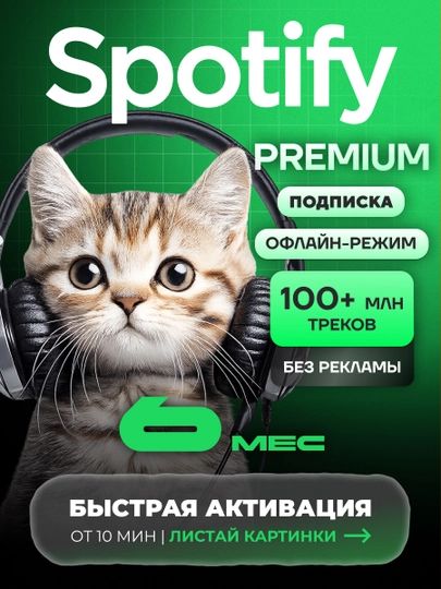Podpiska Spotify Premium 1 / 3 / 6 / 12 - oylar - 