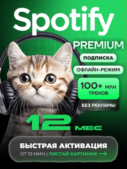 Podpiska Spotify Premium 1 / 3 / 6 / 12 - oylar - 