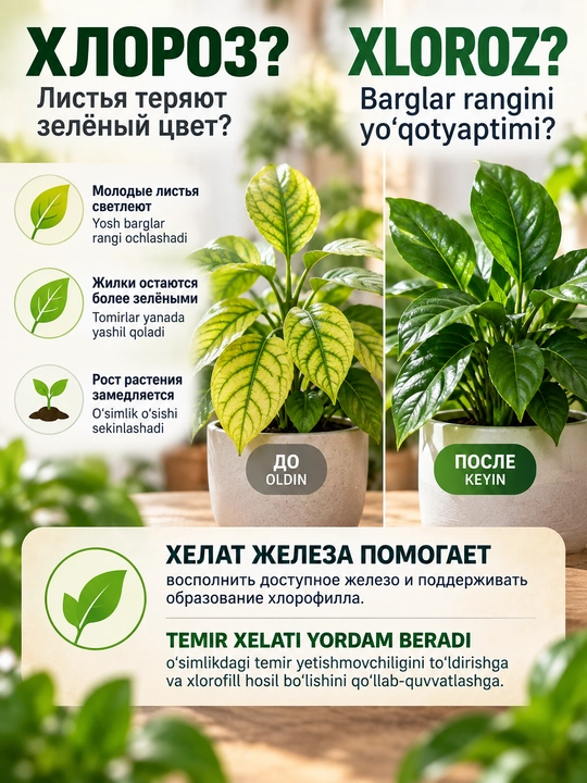 Temir xelati Fe-D11, 5 g, o‘simliklar xloroziga qarshi