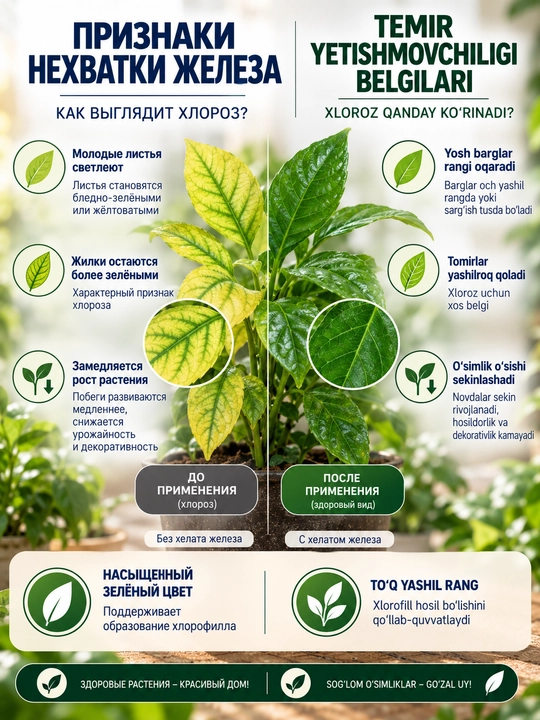 Temir xelati Fe-D11, 5 g, o‘simliklar xloroziga qarshi