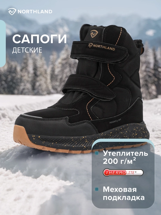 Сапоги утепленные для мальчиков Northland Flocke WP