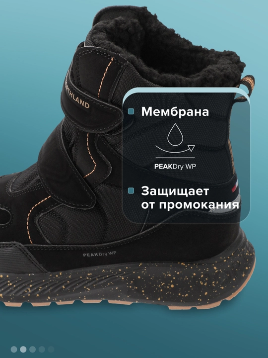 Сапоги утепленные для мальчиков Northland Flocke WP