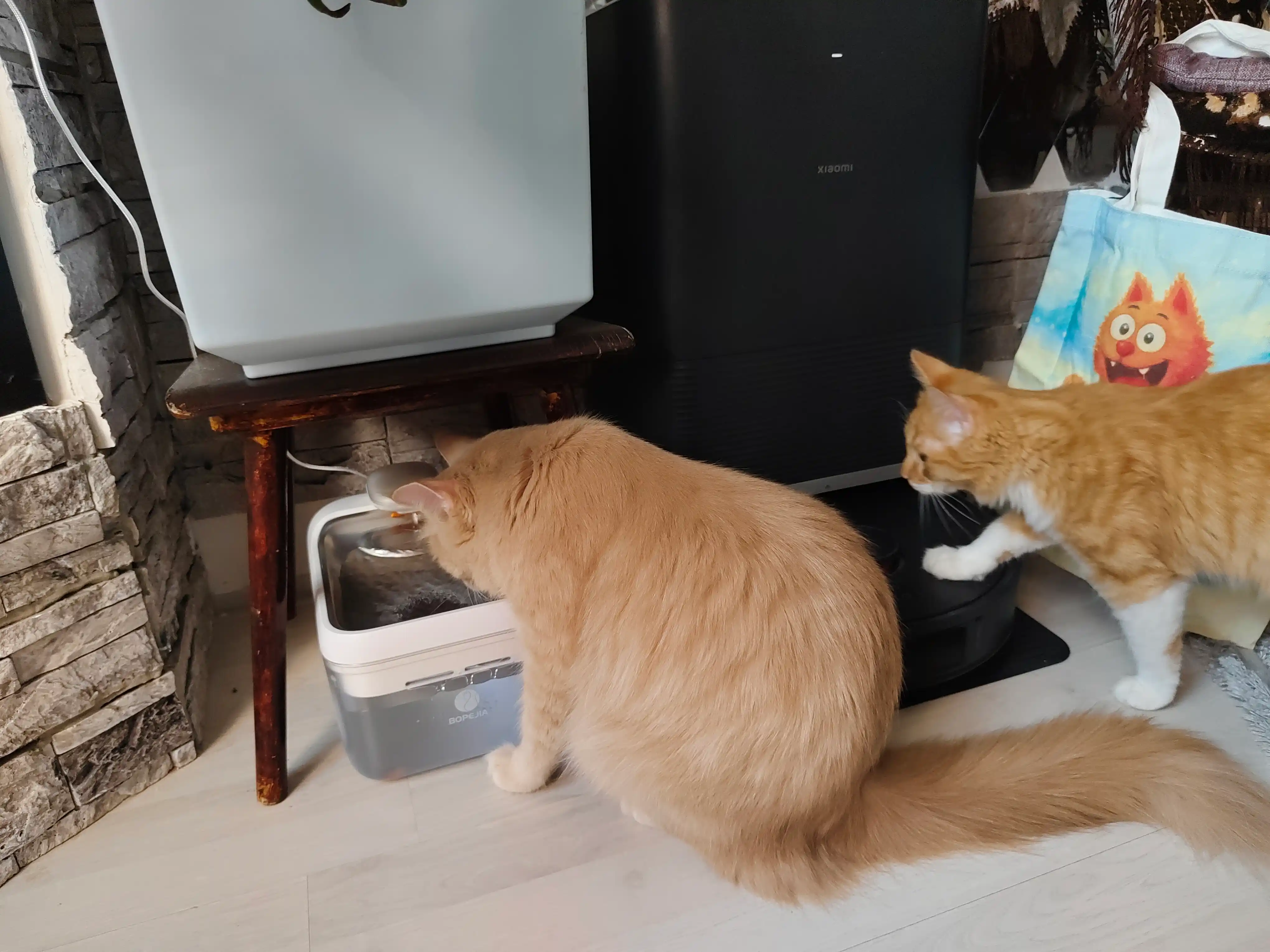 Filtrlash tizimiga ega mushuklar uchun avtomatik ichimlik favvorasi