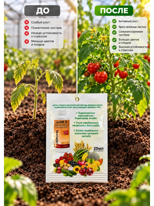Ligoplex Mg Biolchim, микроэлементное удобрение с магнием для растений, 20 мл