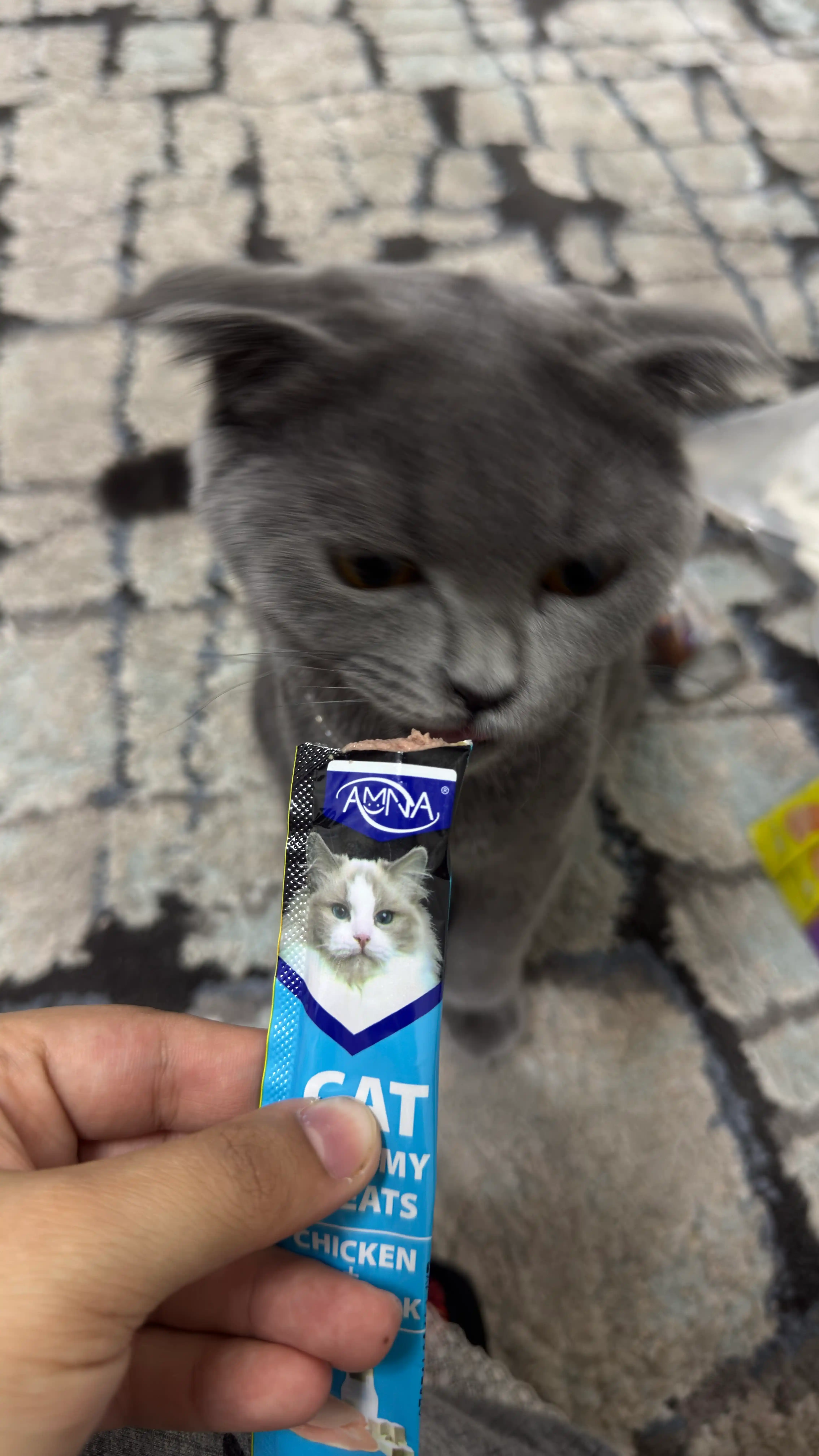 Лакомство для кошек AMNA "Pet Snaks", ассорти из 5 вкусов по 15 гр