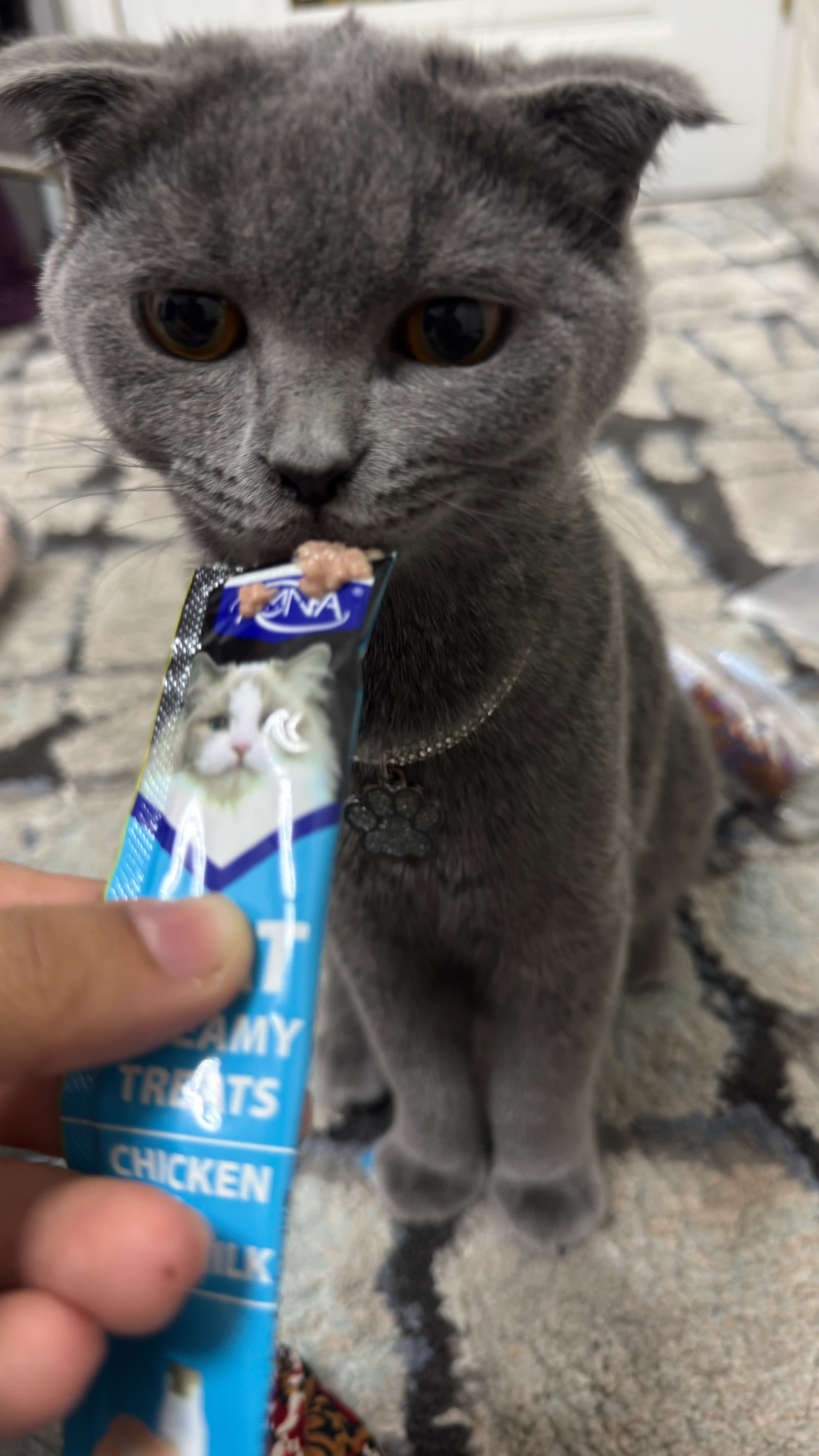 Лакомство для кошек AMNA "Pet Snaks", ассорти из 5 вкусов по 15 гр