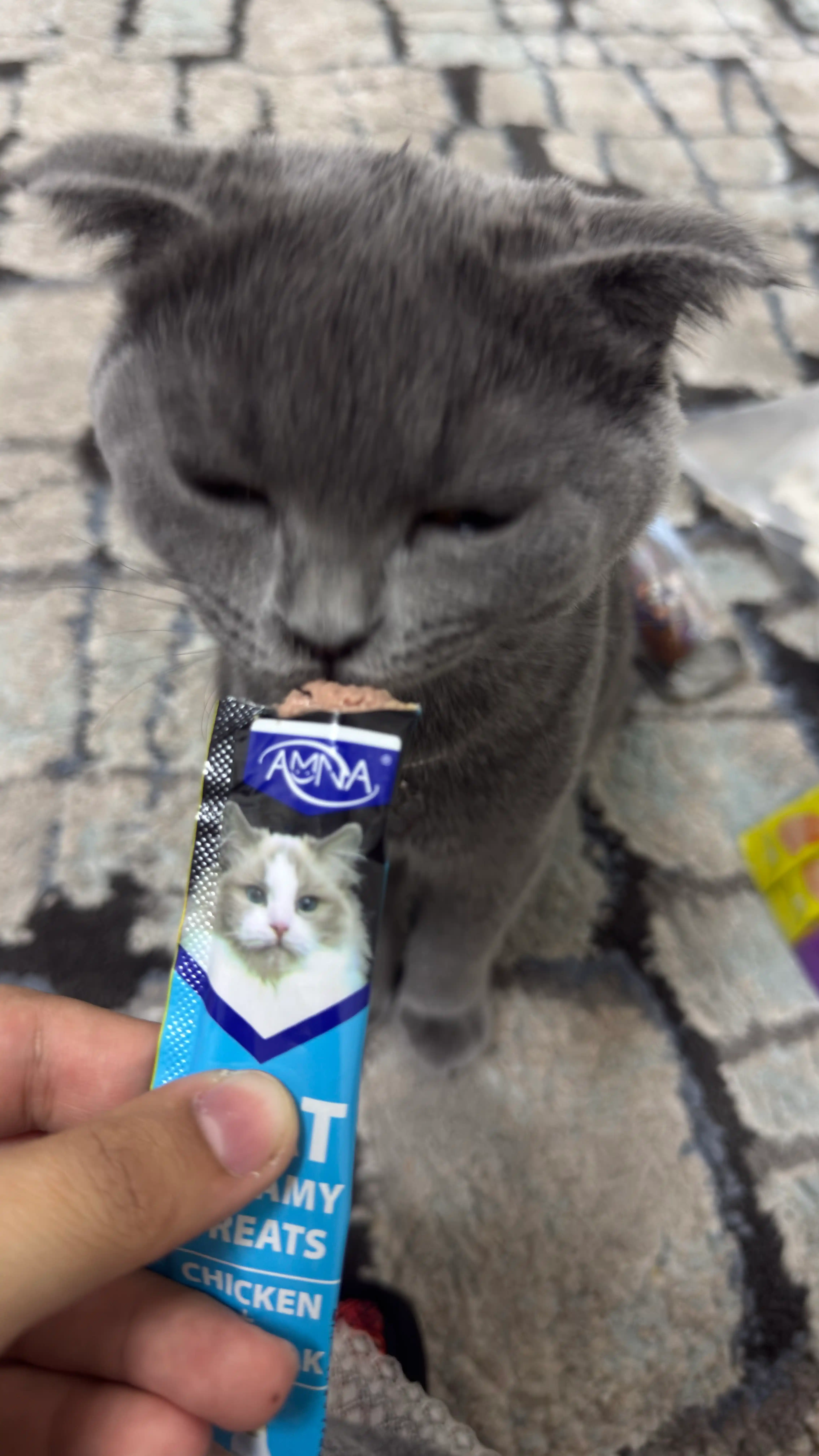 Лакомство для кошек AMNA "Pet Snaks", ассорти из 5 вкусов по 15 гр