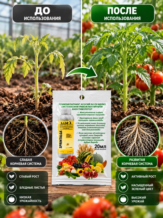 Sprintalga Biolchim 20 мл — биостимулятор роста и развития корневой системы растений