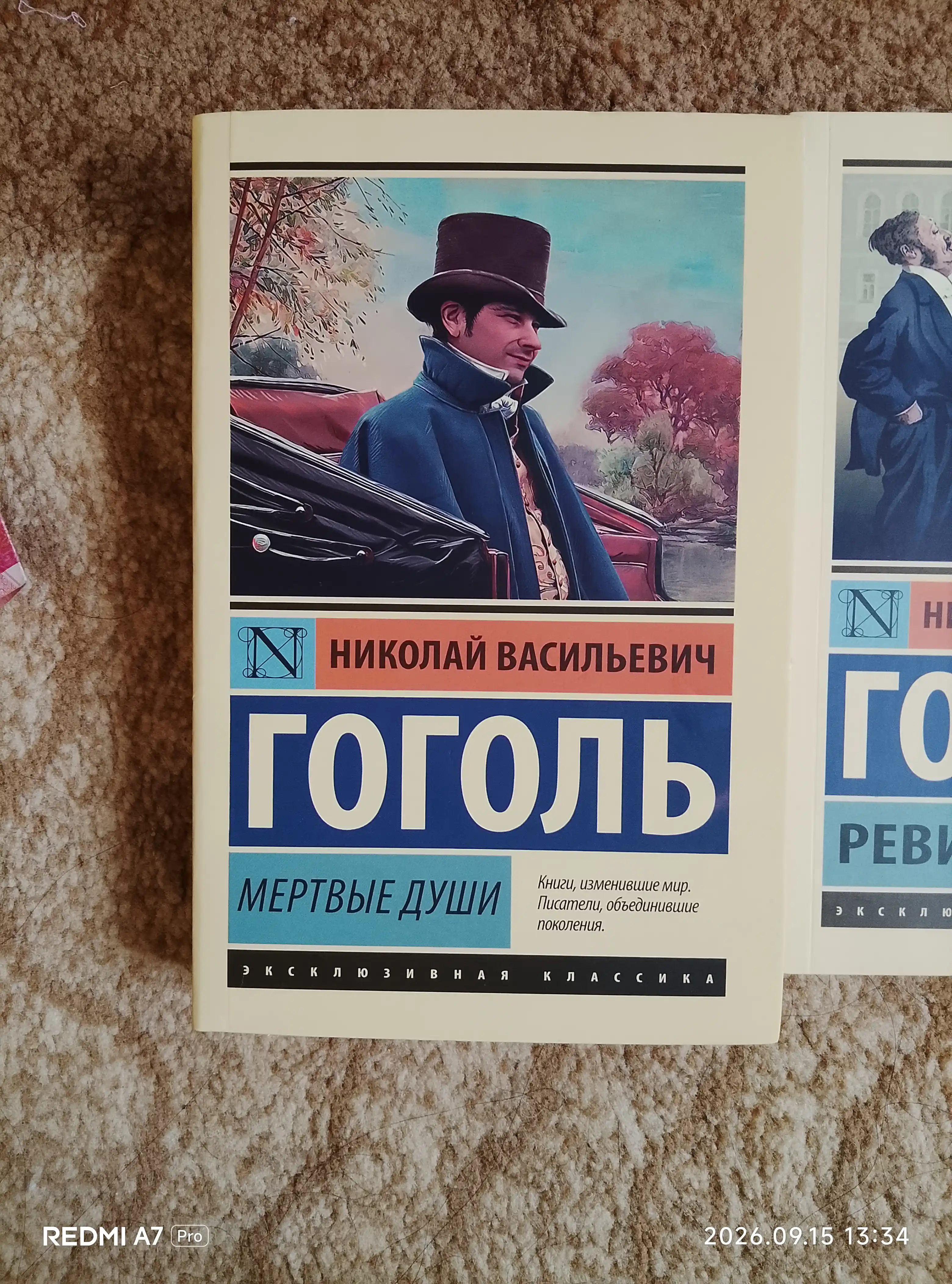 Мёртвые души, Николай Гоголь