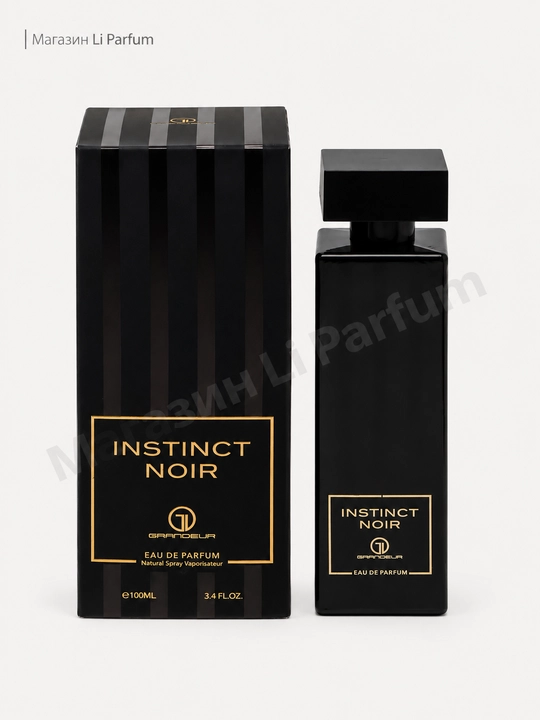 Noir Instinct Grandeur Erkaklar uchun  Atir – Boy va Nafis Iforli hid 100 ml - 