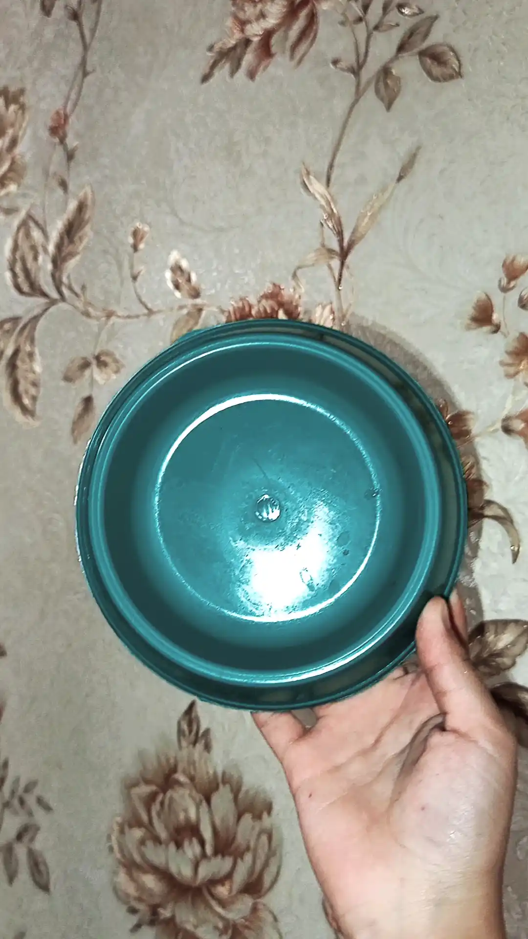 Миска круглая для кошек котят и маленьких собак