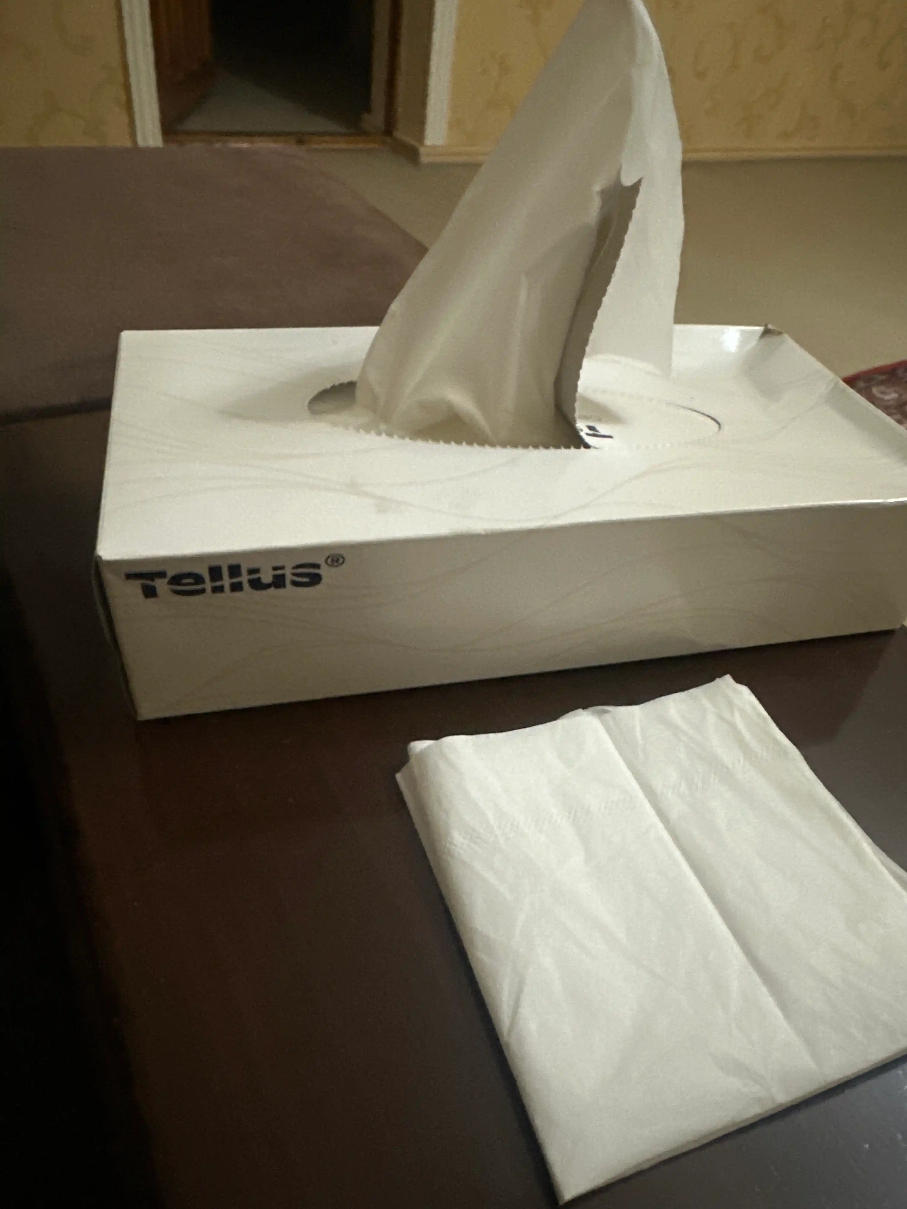 Qog‘ozli kosmetik salfetkalar Tellus Premium 12 03 80, 100 ta varaq, 2 qatlam, sellyuloza