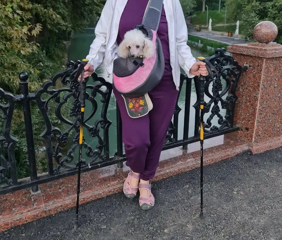 Uy itlari va mushuklari uchun ko‘chma yo‘l sumkasi, yelka orqali