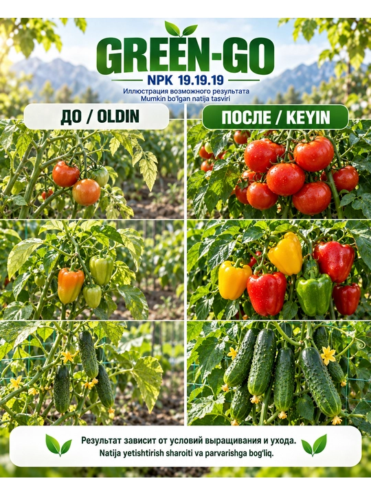 Biolchim GREEN-GO NPK 19-19-19 mikroelementli mineral o‘g‘it, 20 g