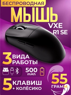 Koʻmir rang