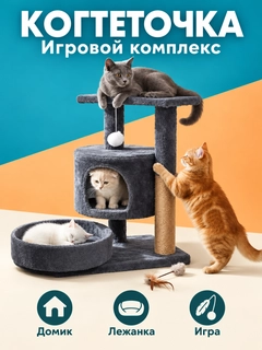 Бордовый